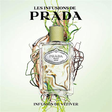 prada vetiver perfume|infusion de vetiver review.